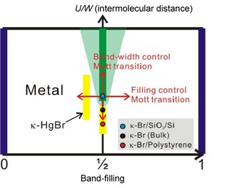 Molecular Ensemble