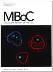 [Moleculer Biology of the Cell] Volume 24 Number 16, August 15, 2013