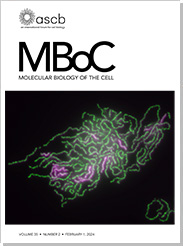 [Moleculer Biology of the Cell] Volume 24 Number 16, August 15, 2013