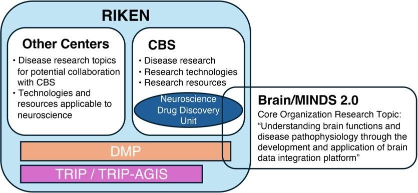 Fig. 1. Collaboration framework of the Unit