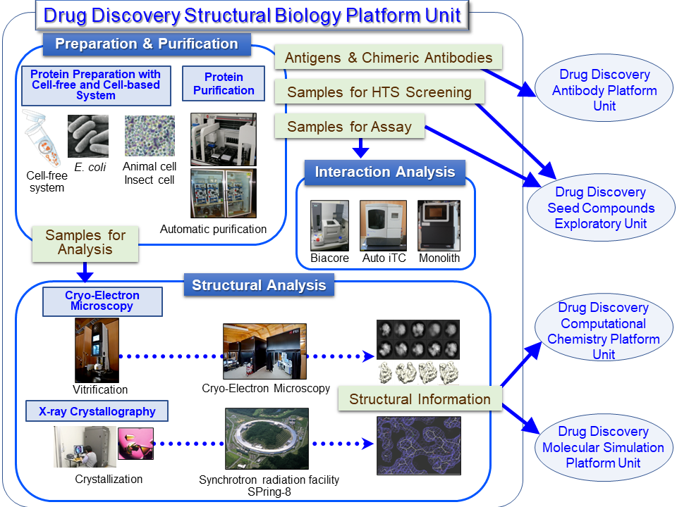 Drug discovery protein analysis flow diagram 1