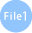 File1