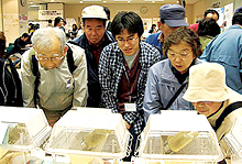 Tsukuba Institute