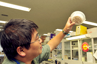 Observing laboratory termites 