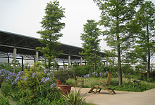 Kobe Institute campus