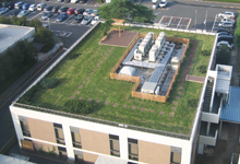 Rooftop garden on the administration building