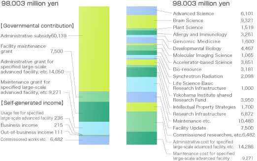 FY 2008 budget