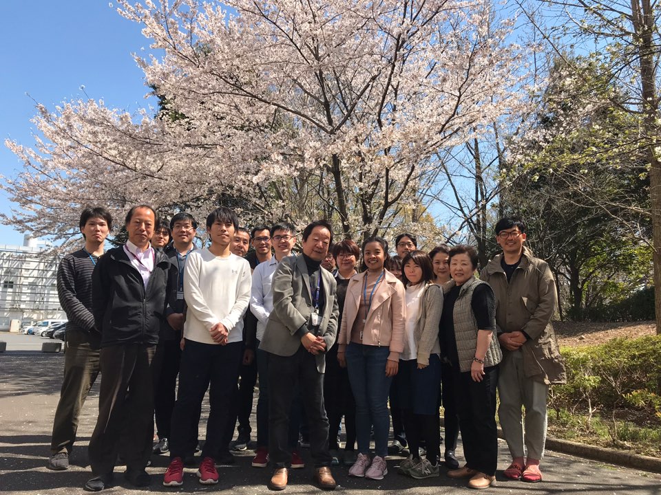第41回整形外科バイオマテリアル研究会