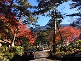<b>-紅葉-</b></br>
宿泊したホテルを出てすぐ、こんな光景を拝むことができました。</br></br>

<b>-Red lieves-</b></br>
One of the symbols of Japanese Autumn.