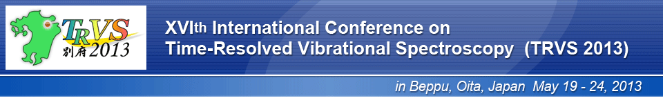 XVIth International Conference on Time-Resolved Vibrational Spectroscopy (TRVS 2013)