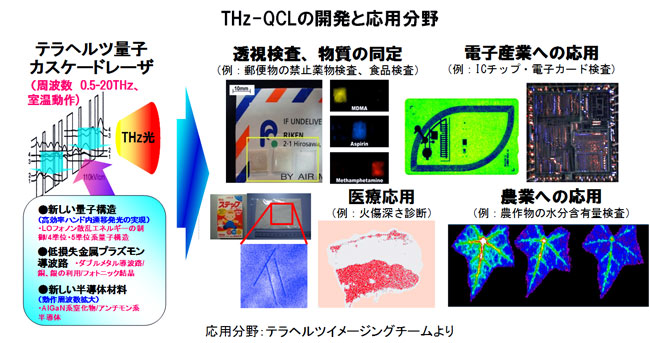 テラヘルツ量子素子研究チーム