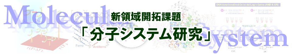 新領域開拓課題「分子システム研究」