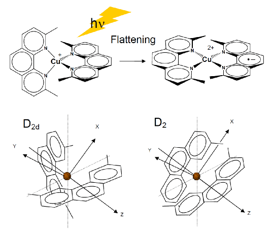 銅(I)ビスジメチルフェナントロリン錯体の構造と励起状態の構造変化