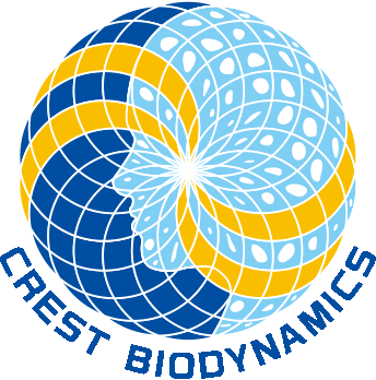 CREST ''Creation of Fundamental Technologies for Understanding and Control of Biosystem Dynamics''