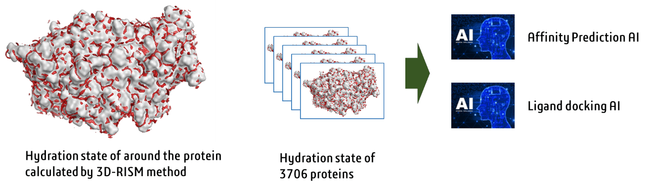 Comprehensive simulation of hydration water conditions